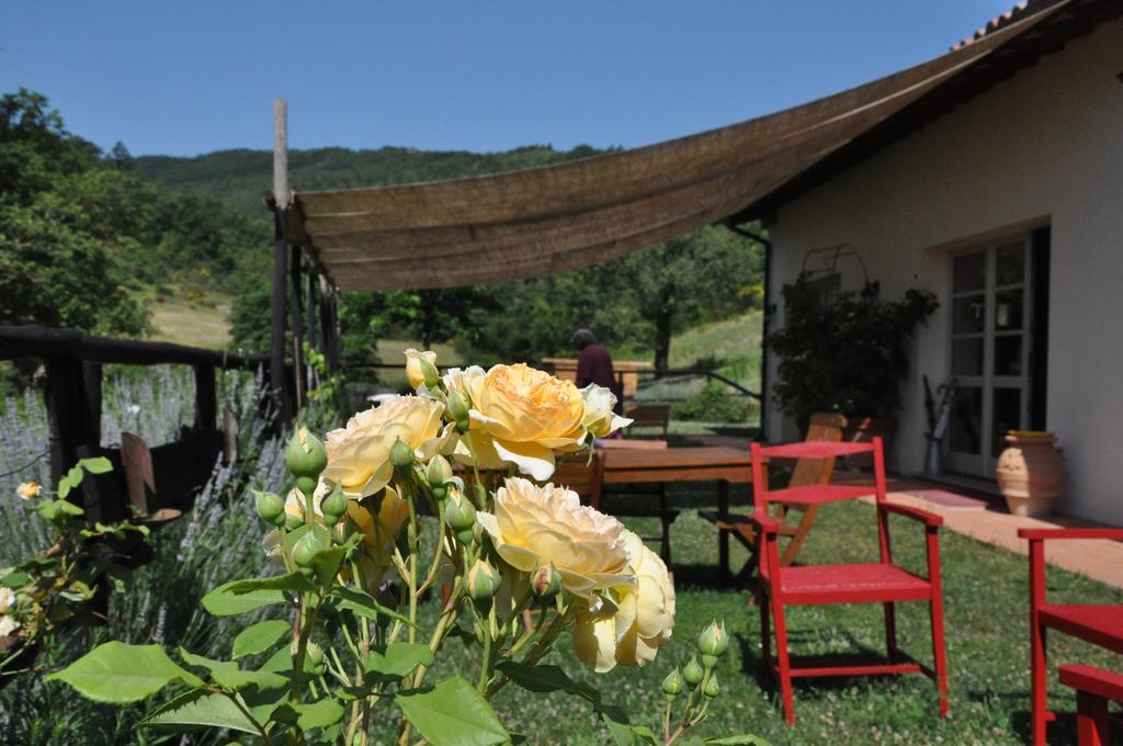 Agriturismo L'Oca Blu Hotel Gubbio Kültér fotó