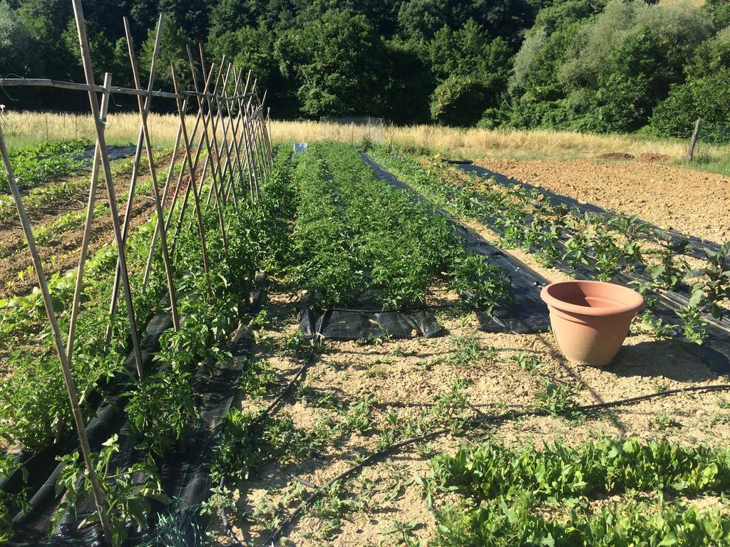 Agriturismo L'Oca Blu Hotel Gubbio Kültér fotó