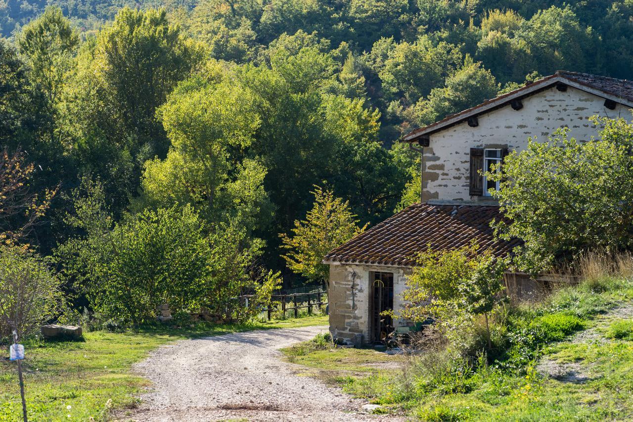 Agriturismo L'Oca Blu Hotel Gubbio Kültér fotó